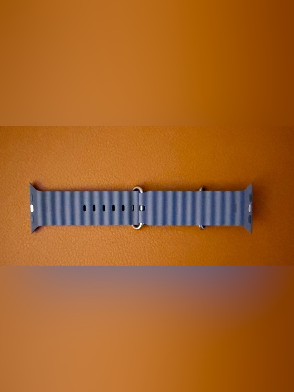 Apple Watch Band- Ocean Band - Anchor Blue - One Size - Natural Titanium Finish